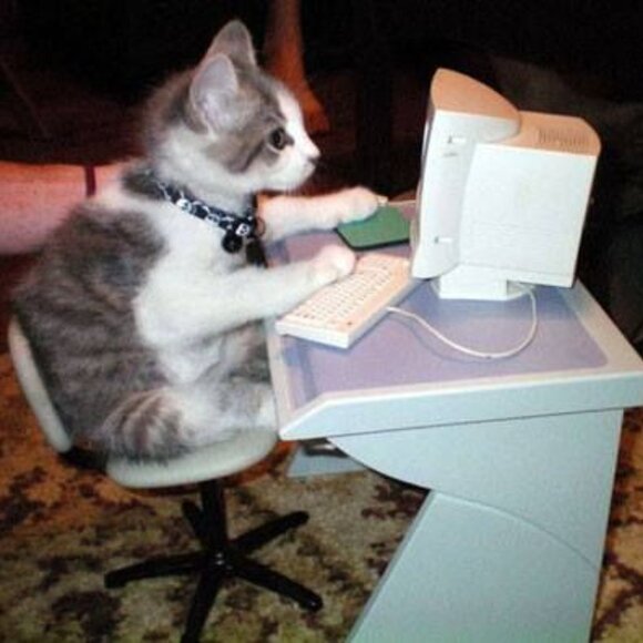 Welcome! - Picture 2 of 2